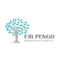 Recensione da Vivai Pengo